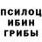 Псилоцибиновые грибы прущие грибы Mr. Mor4ik