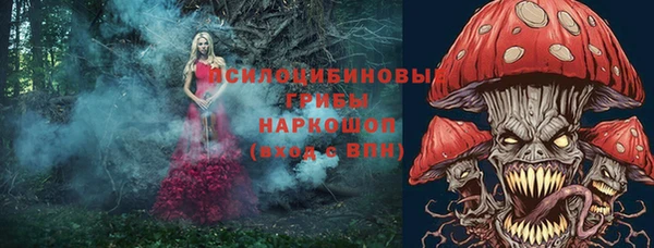 тгк Покров