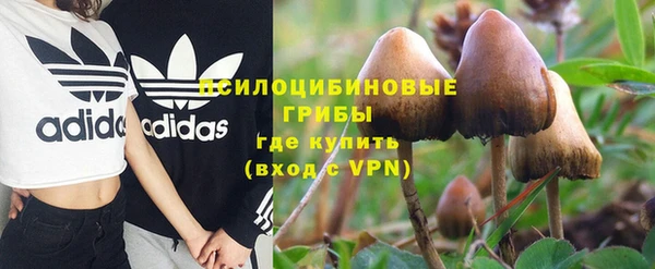 трава Абаза